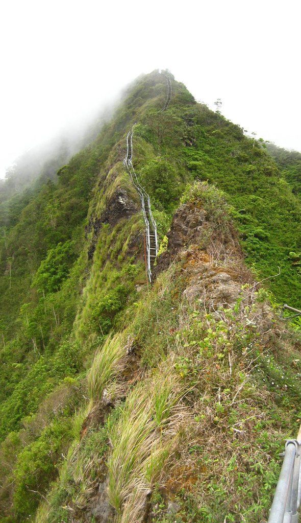 morning picdump 57 pics 27.html - 57 HD Photos | Premium Gallery 2012