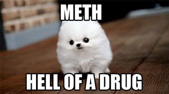 Funny Word and Pic Combos