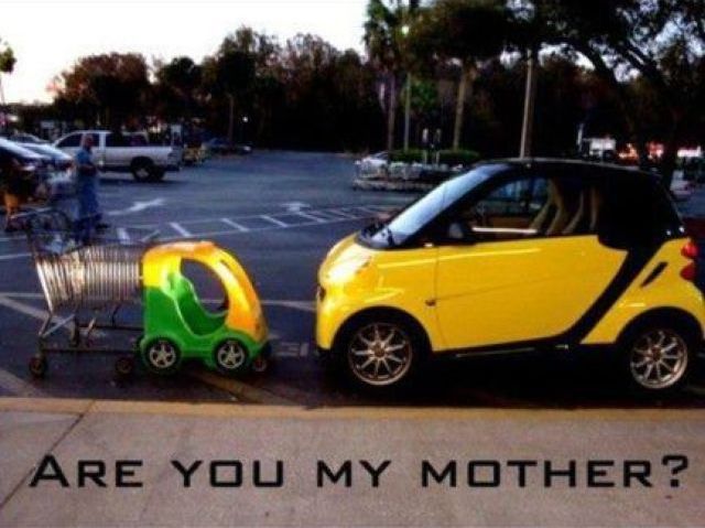 morning picdump 54 pics 2.html - 54 HD Photos | Premium Gallery 2012