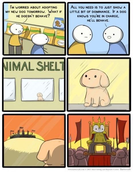 morning picdump 54 pics 2.html - 54 HD Photos | Premium Gallery 2012