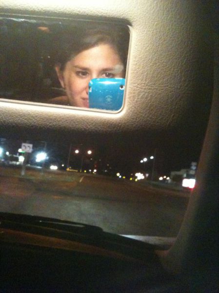 What a Brown Recluse Spider Bite Looks Like