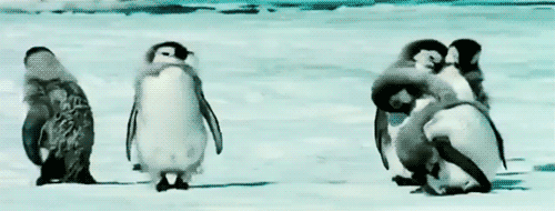 Adorable Penguin Gifs