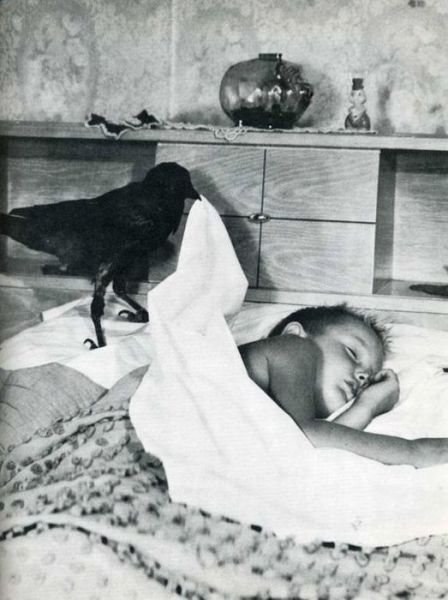 daily picdump 90 pics 7.html - 90 HD Photos | Premium Gallery 2012