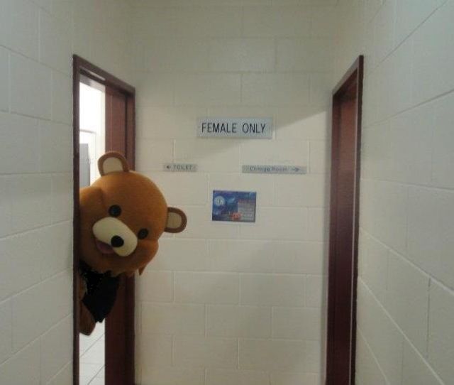 morning picdump 60 pics 6.html - 60 HD Photos | Premium Gallery 2012