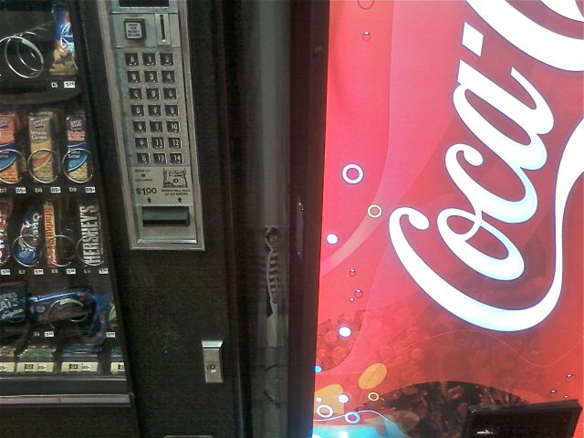 morning picdump 60 pics 6.html - 60 HD Photos | Premium Gallery 2012