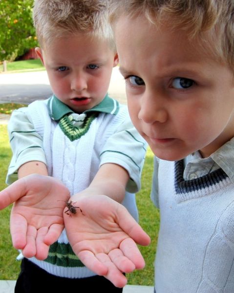 morning picdump 60 pics 6.html - 60 HD Photos | Premium Gallery 2012