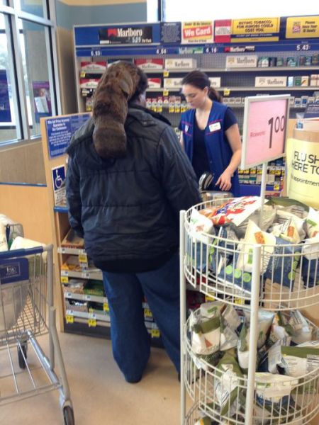 morning picdump 60 pics 6.html - 60 HD Photos | Premium Gallery 2012