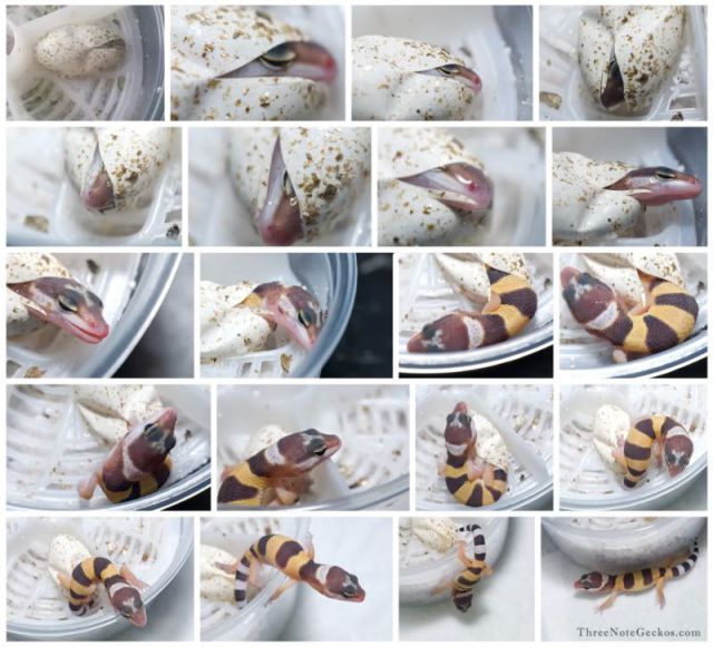 morning picdump 57 pics 23.html - 57 HD Photos | Premium Gallery 2012