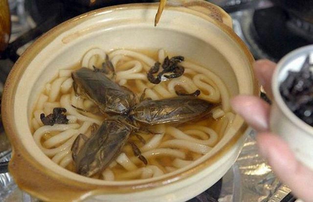 Creepy Crawly Japanese Delicacies