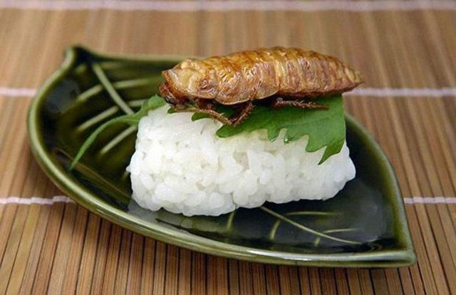 Creepy Crawly Japanese Delicacies