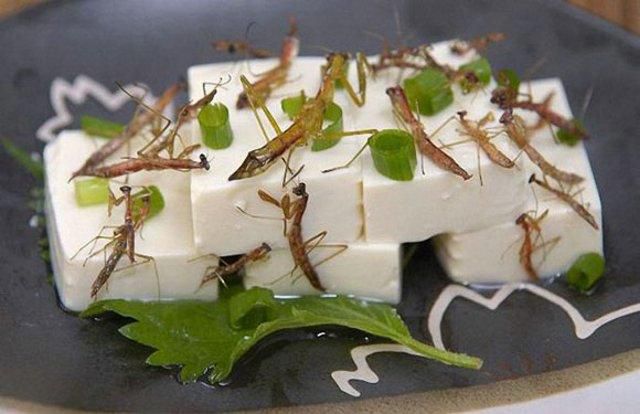 Creepy Crawly Japanese Delicacies