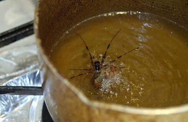 Creepy Crawly Japanese Delicacies