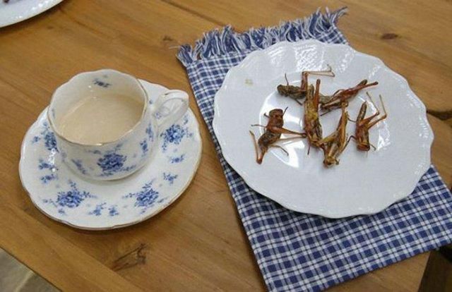 Creepy Crawly Japanese Delicacies