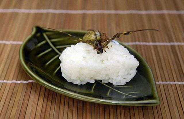 Creepy Crawly Japanese Delicacies