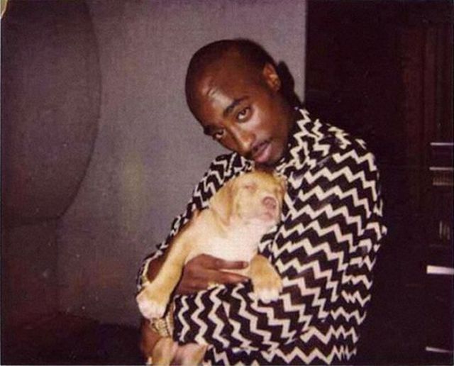 rare photographs of celebrities part 19 144 pics 52.html - 144 HD Photos | Premium Gallery 2012