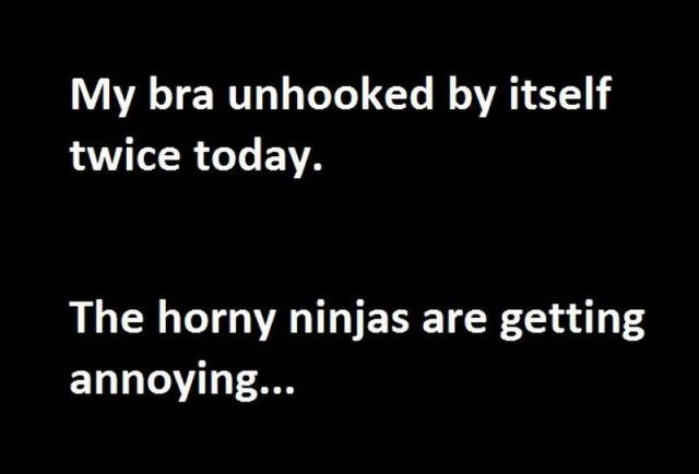 Daily picdump [WEEKEND EDITION]