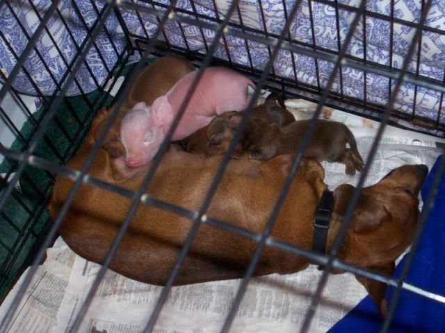 daily picdump weekend edition 76 pics 2.html - 76 HD Photos | Premium Gallery 2012