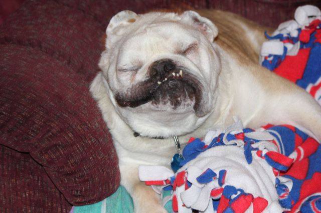 daily picdump weekend edition 76 pics 2.html - 76 HD Photos | Premium Gallery 2012