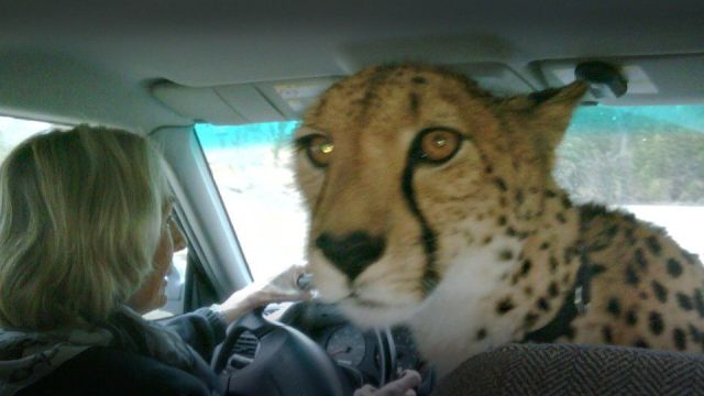 daily picdump weekend edition 76 pics 2.html - 76 HD Photos | Premium Gallery 2012