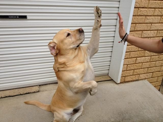 daily picdump weekend edition 76 pics 2.html - 76 HD Photos | Premium Gallery 2012