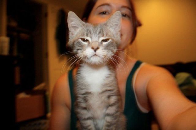 daily picdump weekend edition 76 pics 2.html - 76 HD Photos | Premium Gallery 2012