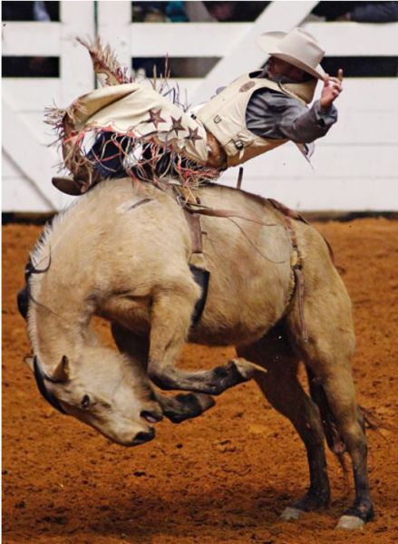 morning picdump 59 pics 29.html - 59 HD Photos | Premium Gallery 2012