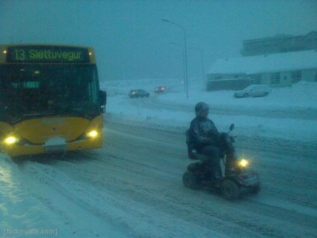 Morning Picdump
