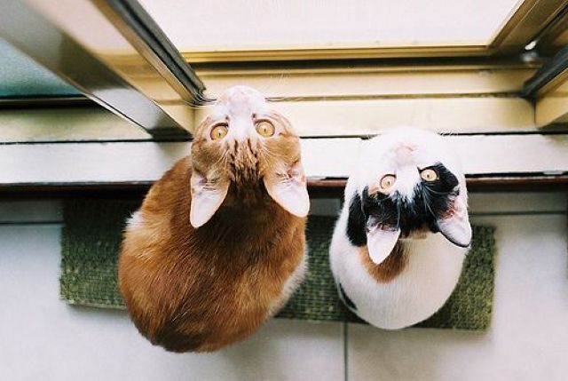 morning picdump 53 pics 14.html - 53 HD Photos | Premium Gallery 2012