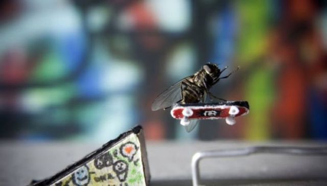 morning picdump 59 pics 29.html - 59 HD Photos | Premium Gallery 2012