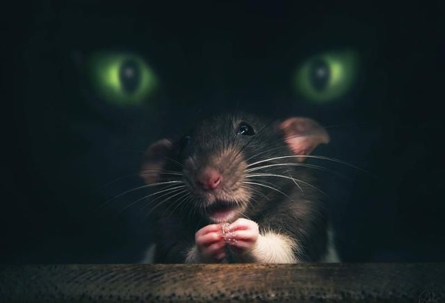 morning picdump 59 pics 29.html - 59 HD Photos | Premium Gallery 2012