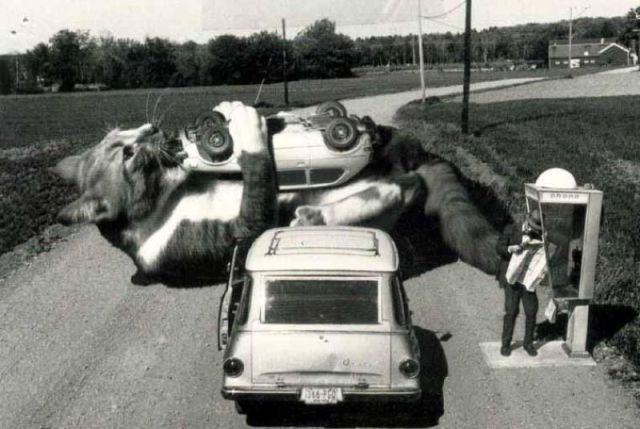 morning picdump 59 pics 29.html - 59 HD Photos | Premium Gallery 2012