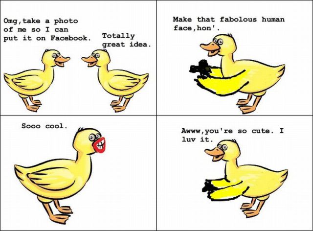 morning picdump 54 pics 15.html - 54 HD Photos | Premium Gallery 2012