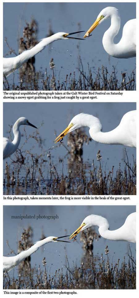 morning picdump 54 pics 15.html - 54 HD Photos | Premium Gallery 2012