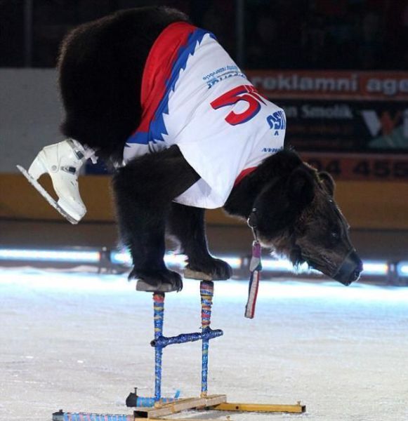 daily picdump 88 pics 29.html - 88 HD Photos | Premium Gallery 2012