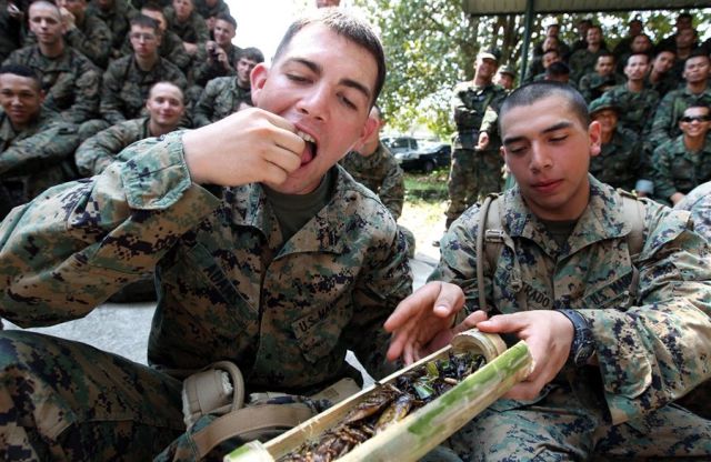 daily picdump 88 pics 29.html - 88 HD Photos | Premium Gallery 2012