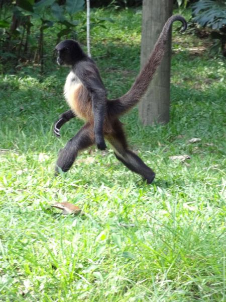 daily picdump 88 pics 29.html - 88 HD Photos | Premium Gallery 2012