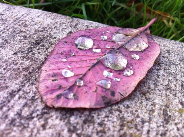 morning picdump 55 pics 9.html - 55 HD Photos | Premium Gallery 2012