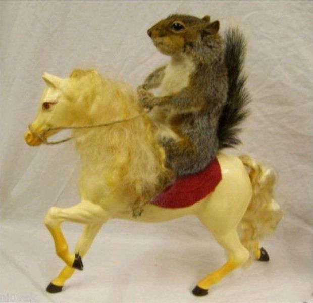 morning picdump 55 pics 9.html - 55 HD Photos | Premium Gallery 2012