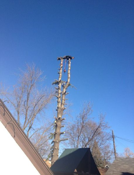 morning picdump 55 pics 9.html - 55 HD Photos | Premium Gallery 2012