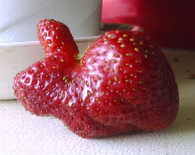 morning picdump 54 pics 8.html - 54 HD Photos | Premium Gallery 2012