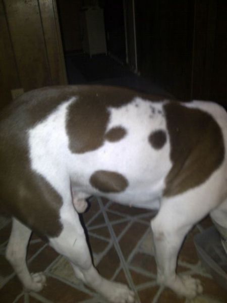 morning picdump 54 pics 8.html - 54 HD Photos | Premium Gallery 2012