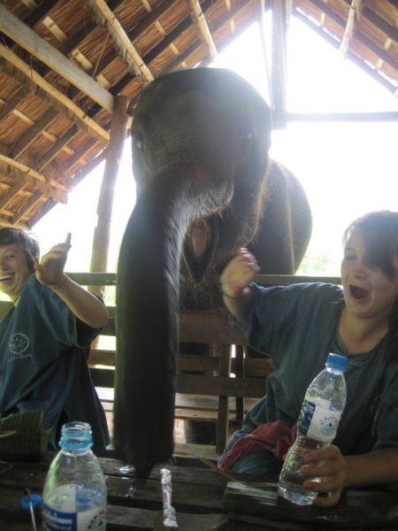 morning picdump 54 pics 8.html - 54 HD Photos | Premium Gallery 2012