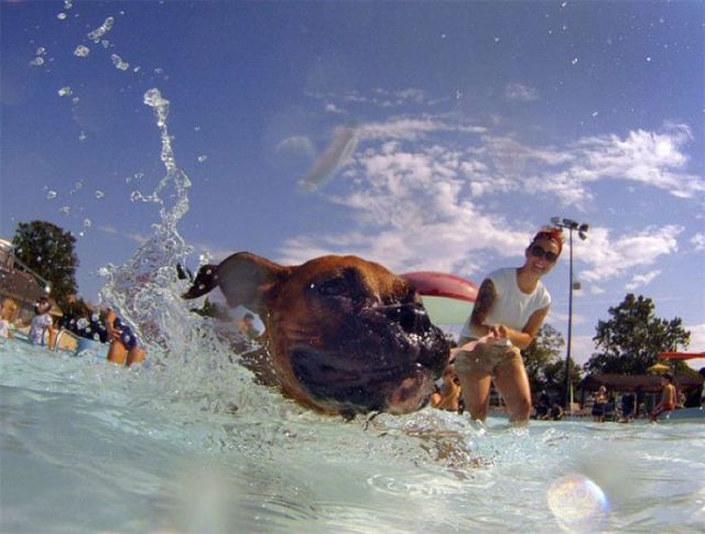 morning picdump 50 pics 9.html - 50 HD Photos | Premium Gallery 2012