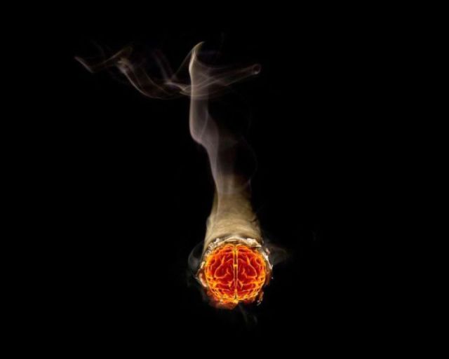 morning picdump 50 pics 9.html - 50 HD Photos | Premium Gallery 2012