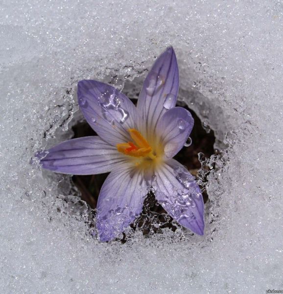 morning picdump 54 pics 26.html - 54 HD Photos | Premium Gallery 2012