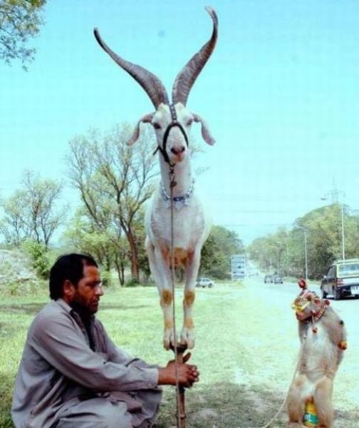 Only in India. Part 3