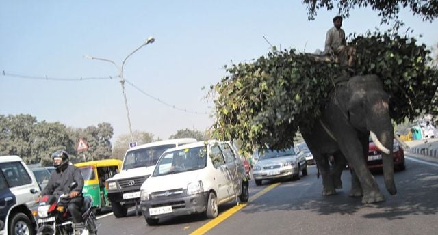 Only in India. Part 3