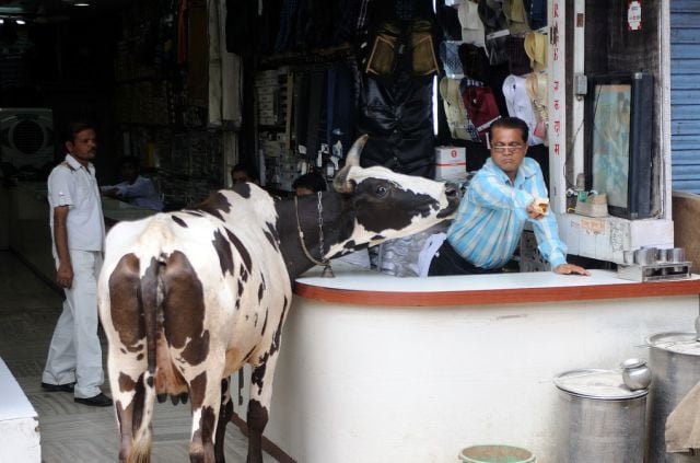 Only in India. Part 3