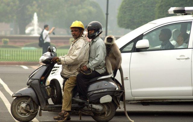 Only in India. Part 3