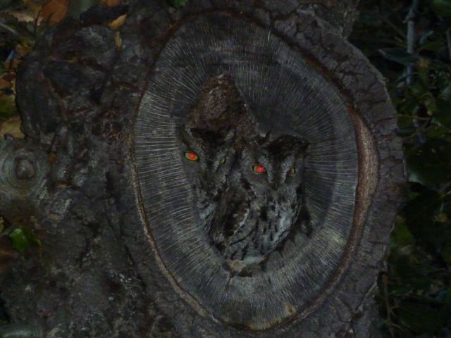 daily picdump 86 pics 20.html - 86 HD Photos | Premium Gallery 2012